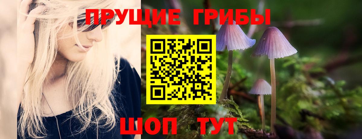 Галлюциногенные грибы прущие грибы Чистополь