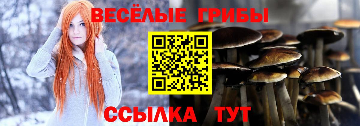 Галлюциногенные грибы Psilocybine cubensis  Вход с VPN  Чистополь 